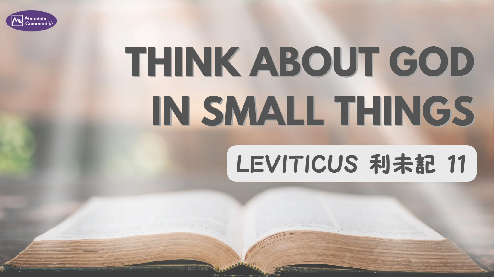 Sunday Worship and Sermon (July 19th, 2026)